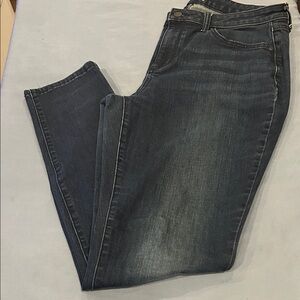 Classic Blue Women's Curvy Skinny Jeans